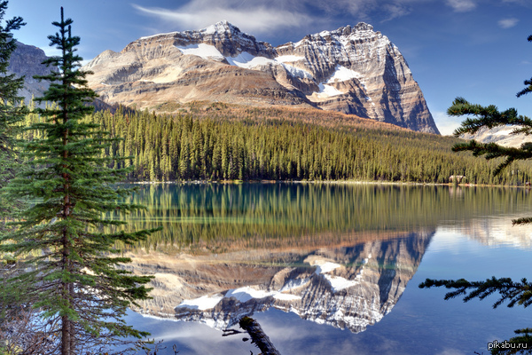 Где-то на планете Земля.