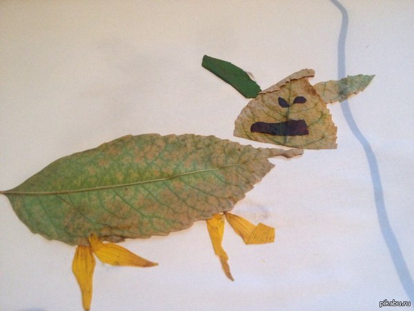 ���� ������ �������.