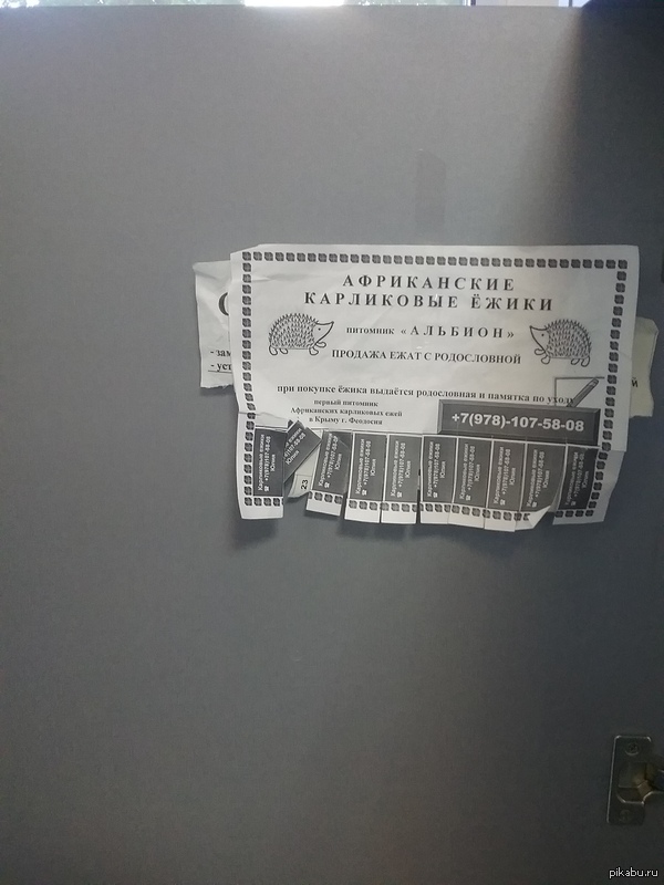 ����� � �����������  �����.