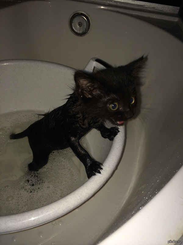 �������� ��������!