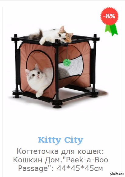 Peek - a - boo [___________]