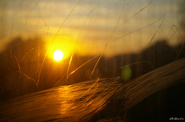 ���� ����������� �������...