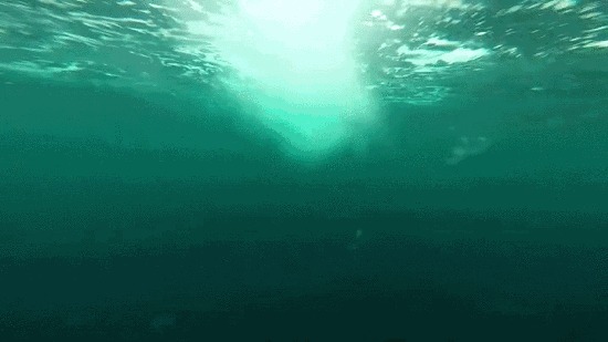 &quot;,    ,  &quot;