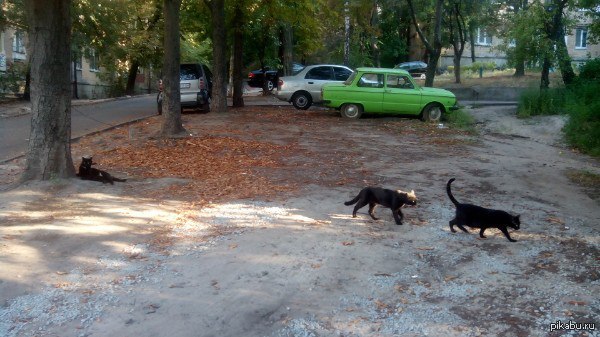 Удача явно на моей стороне