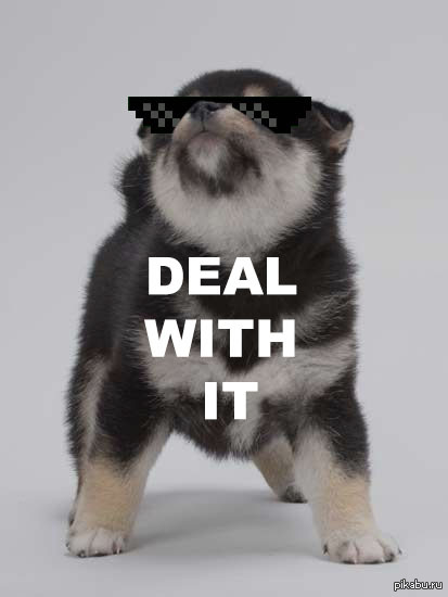 deal with it 