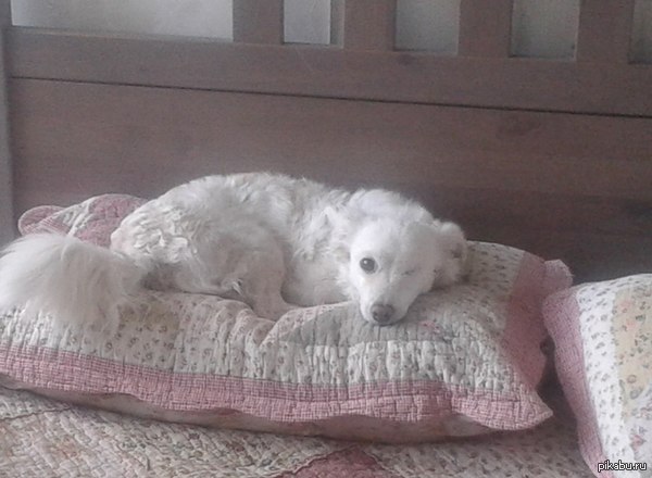  ,  !!!       , , ,  .