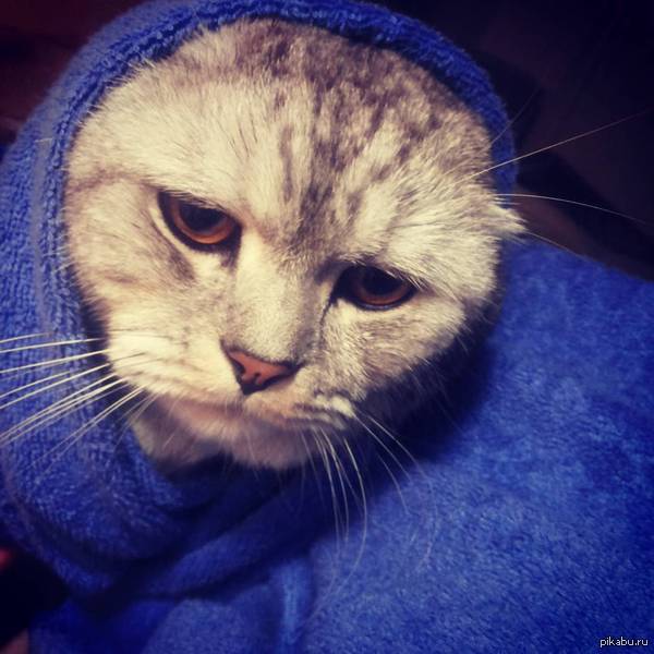 Холода близко...