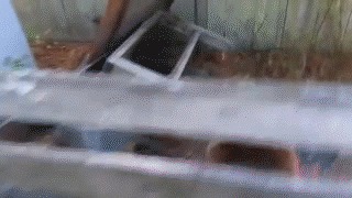 ,  ,     ! 