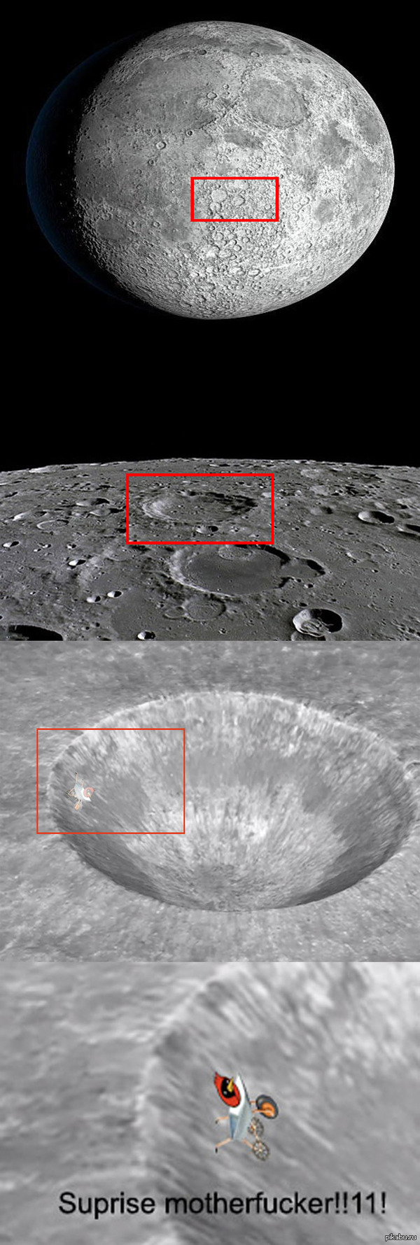 ������� � ���� ���� �������� ����� ������