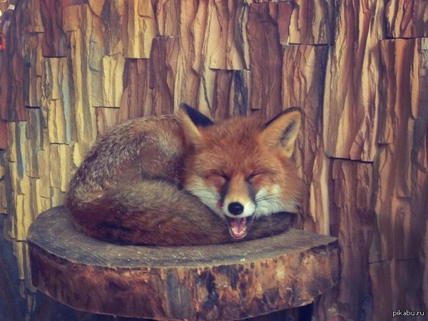 ���� �� ������� �� ������ ��������/�������� ����, �� ���.