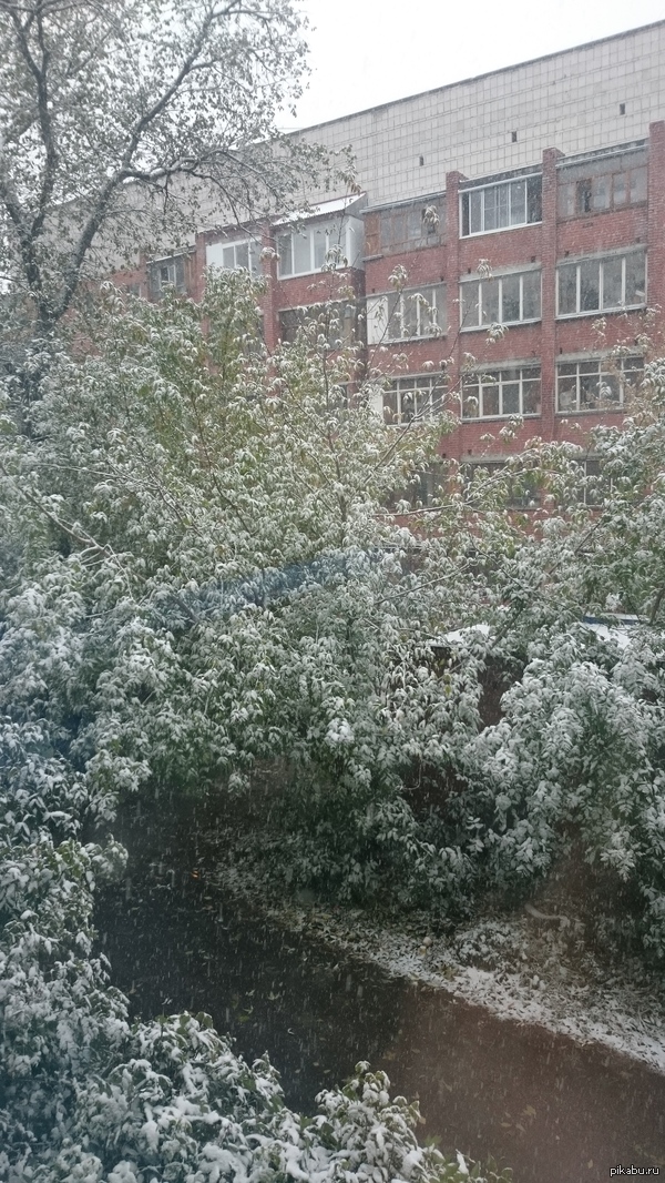 ����� ������� �����