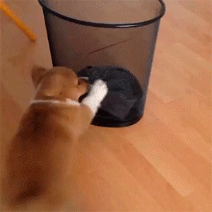 &quot;,   !       !&quot;