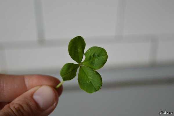 ���� �����!