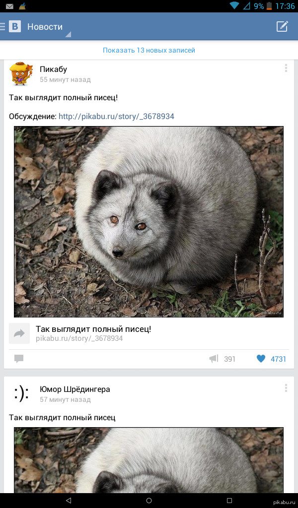 Стыбзили со скоростью света.