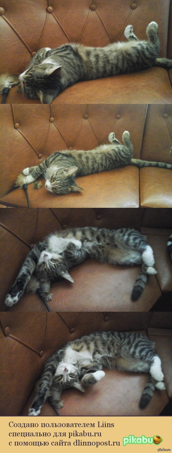 ������� ��������� �������)