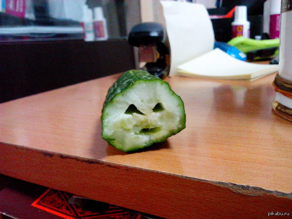 ���� �������� ������, ������ ���� ��������