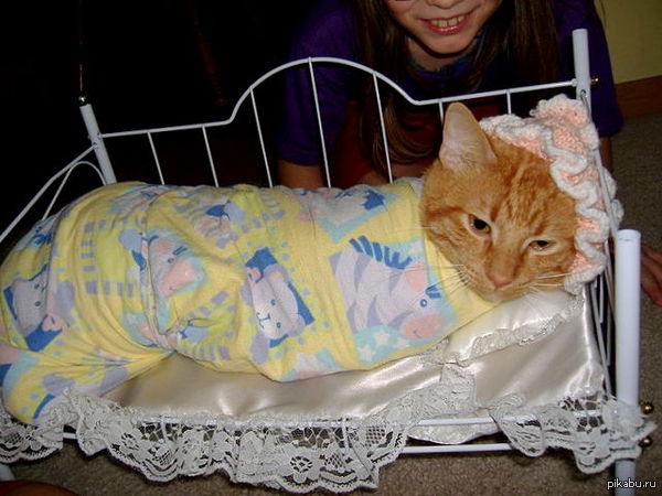 �������, ������ �� ����� ������� ����� ��������� ���� - "�� ��� ����, ������� ����, �������"... ������ ������� ����� - �������...