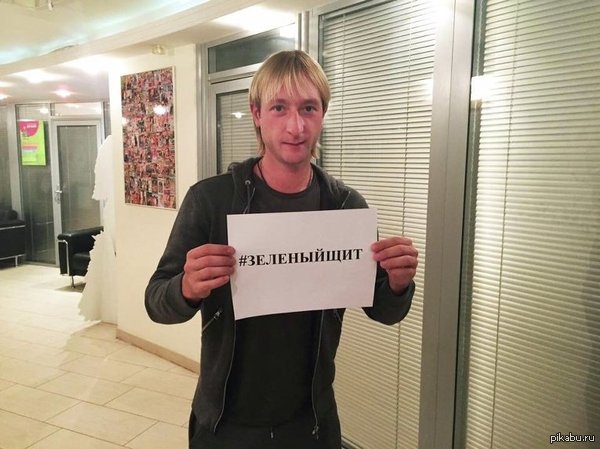 Российские знаменитости поддержали акцию против вырубки лесов вокруг Москвы «Зеленый щит»