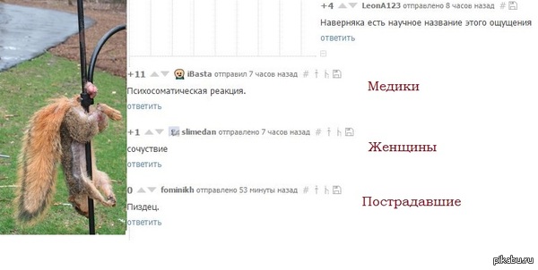      <a href="http://pikabu.ru/story/enott_3683126#comment_53882018">#comment_53882018</a>