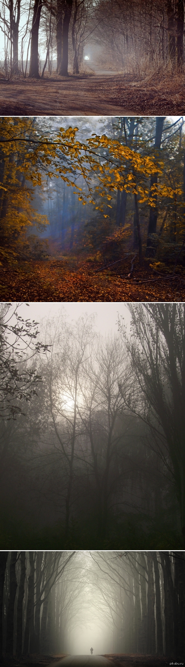 ������� �����