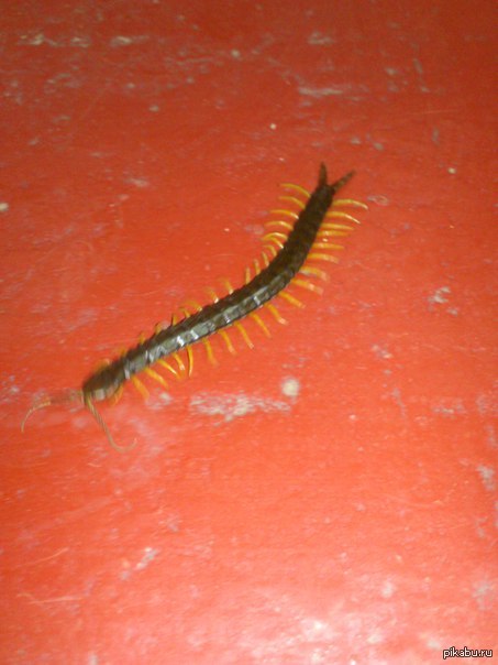 Вышел из кабинета после обеда