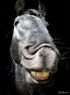 ��������������: ������� ����.