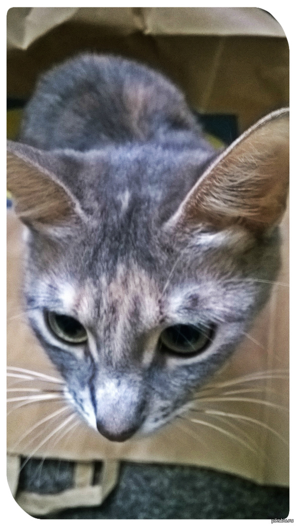 �����-�����