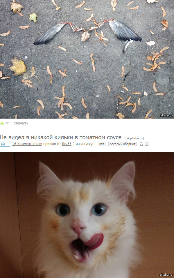 Совпадение?