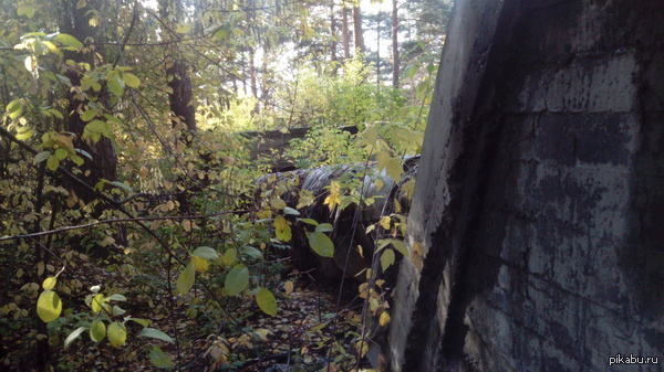 ������� ����