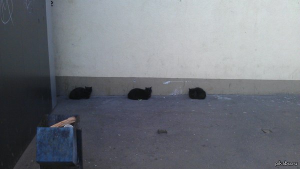 ������� � ���� �����