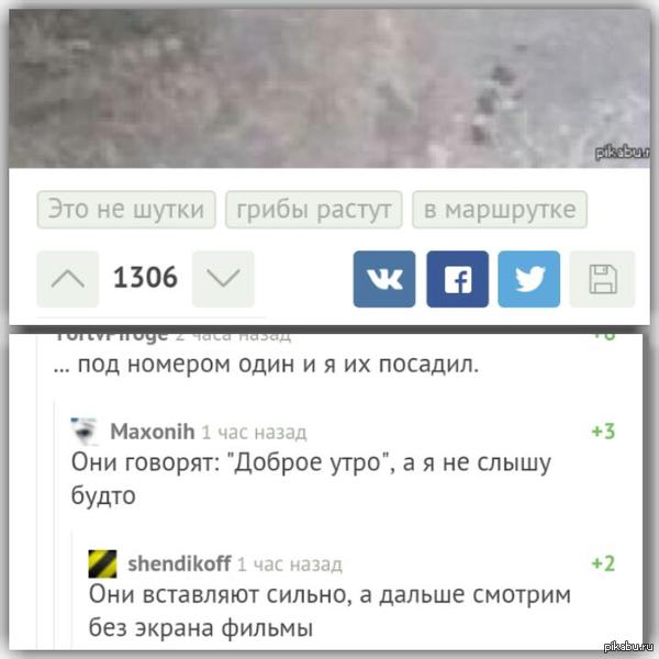 +   http://m.<a href="http://pikabu.ru/story/nichego_neobyichnogo_prosto_v_marshrutke_rastut_gribyi_3679484">http://pikabu.ru/story/_3679484</a>