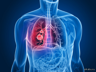 ������� ������ �������� �����������!