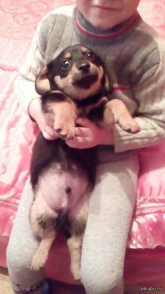 ����� ����� �.���������