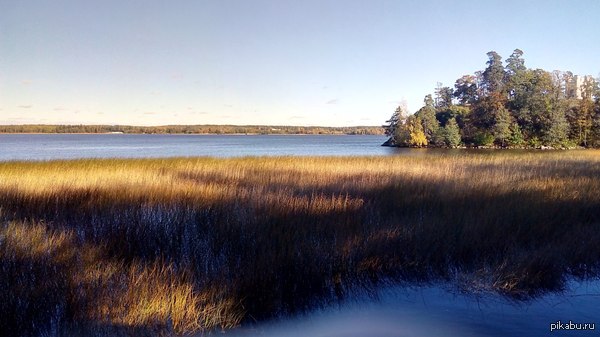 Просто фото на телефон.