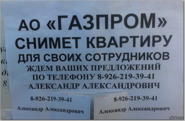 ���� ����������