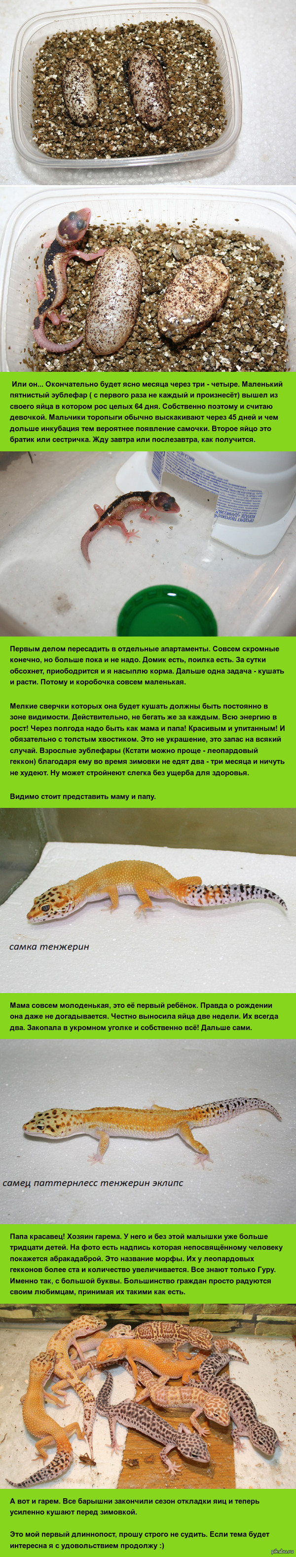 ��� ��������!