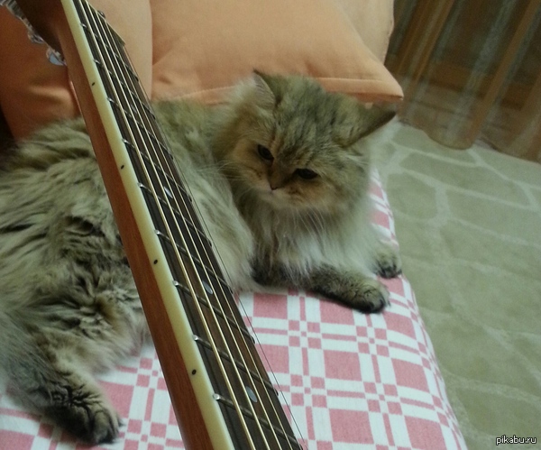 Всё ещё единственный слушатель