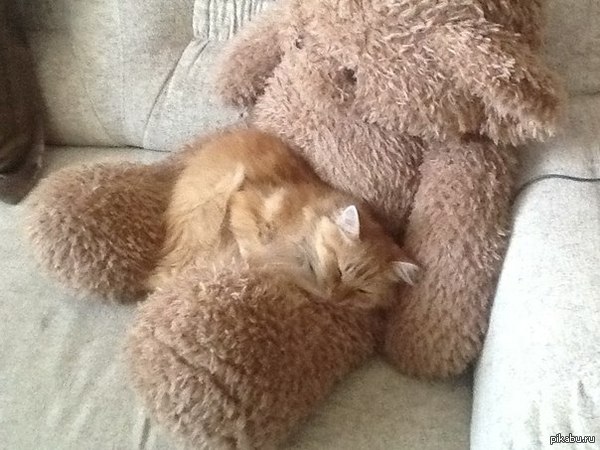 Осень наступила)) Ищем тёплое гнездо и впадаем в спячку.