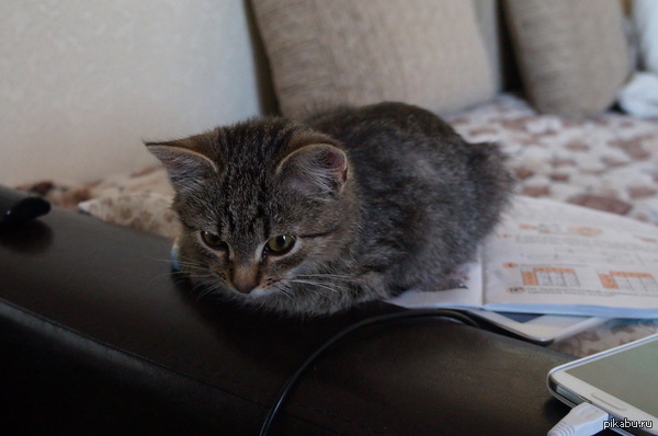 � ������� ���������� ��� ���� ���� ������� ������