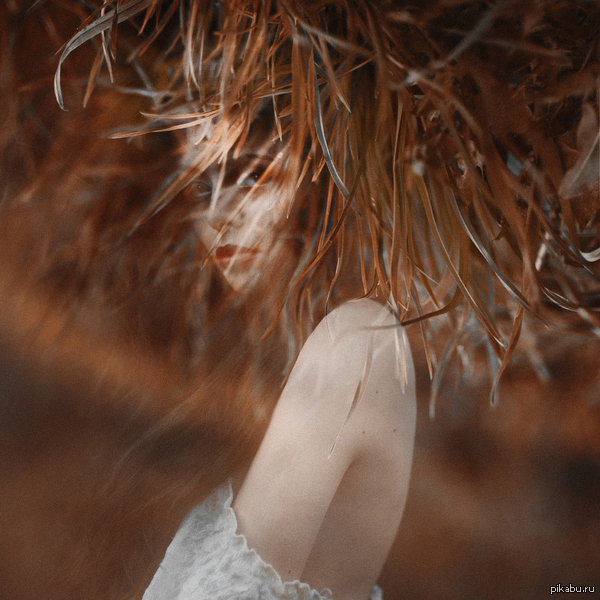 ���� �������� �����