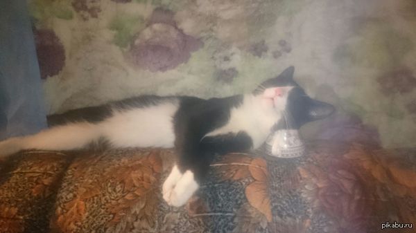 �������-�������