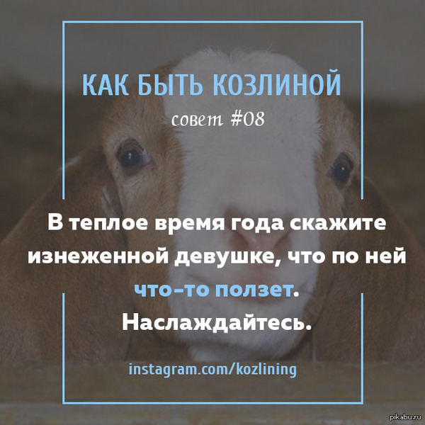 � ����� ������ �����. ��� � ��.