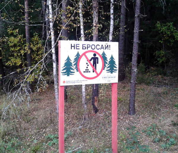 Не бросай в лесу квадратики