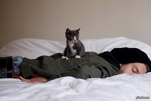 Доминируй,властвуй,унижай