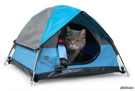 ��������� ������� ��� ������!