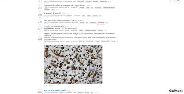 ��� �������, ��� ����� ����� �� �������