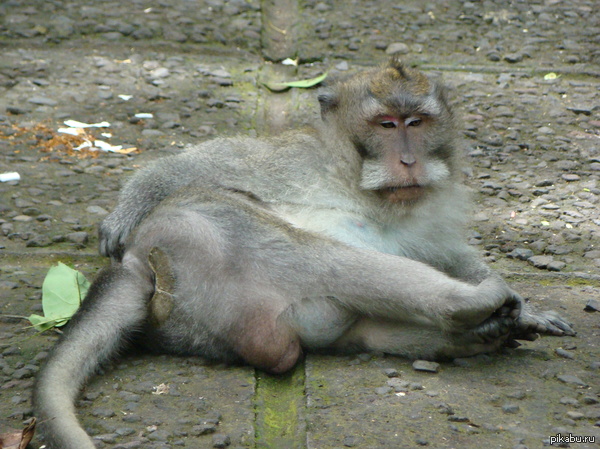 ������ ����