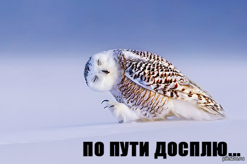 Когда ночью засиделся за компом