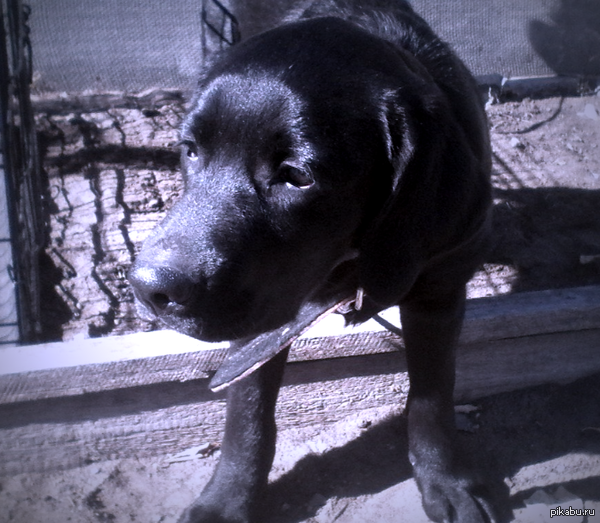 Радости пост! не плюсов ради) просто похвастаться!