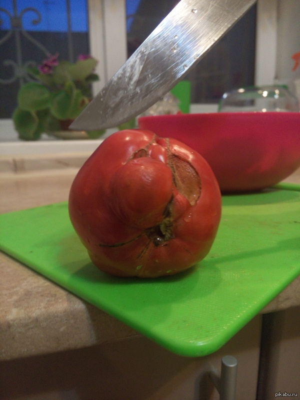 Жалко резать...:(